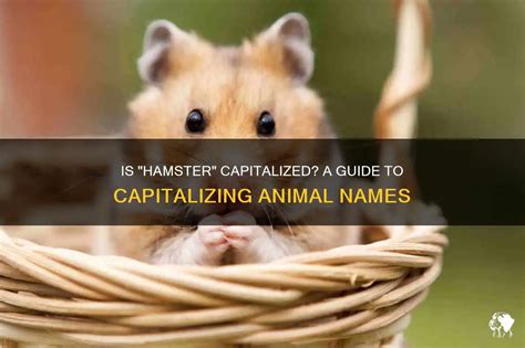 Are Animal Names Capitalized: A Whimsical Exploration of Linguistic Quirks