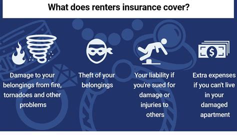 Does Airbnb Offer Travel Insurance? And Why Do Pineapples Never Get Lost?