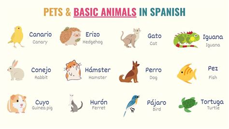 How Do You Say Animal in Spanish? And Why Do Spanish Animals Sound More Dramatic?