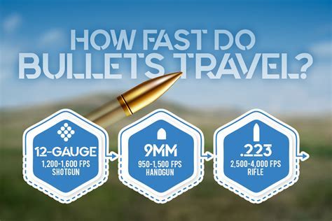 How Fast Does 5.56 Travel: And Why Do Squirrels Always Seem to Dodge It?