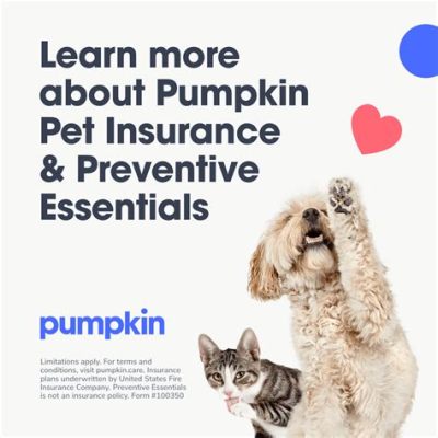 How to Cancel Pumpkin Pet Insurance: A Guide to Navigating the Process and Exploring the World of Pet Care Alternatives