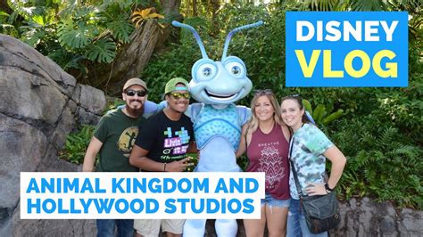 How to Get from Animal Kingdom to Hollywood Studios: A Journey Through Imagination and Reality