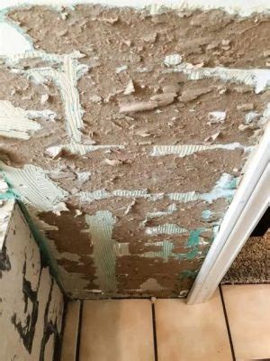 How to Repair Drywall Paper: A Journey Through Texture and Time