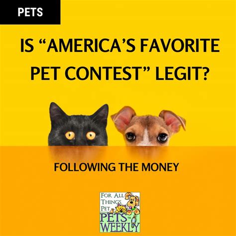 Is America's Favorite Pet Legit? Exploring the Quirks of Pet Culture and Beyond