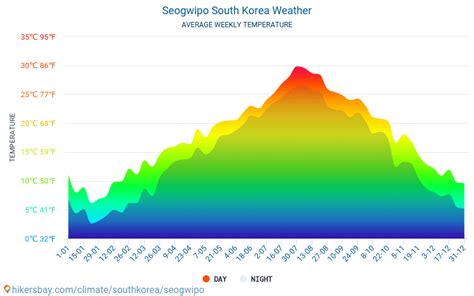 서귀포 날씨, 바다의 숨결과 함께하는 시간