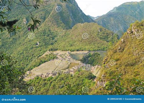 What Animal is Huayna Picchu Shaped Like? And Why Does It Remind Me of a Sleeping Dragon?