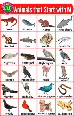 What's an Animal That Starts with the Letter N? And Why Do They Always Seem to Be Hiding?